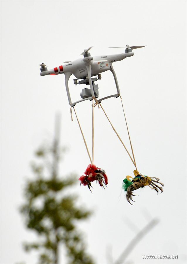 A mitten crab of Hongze Lake harvest festival was held here on Tuesday. 