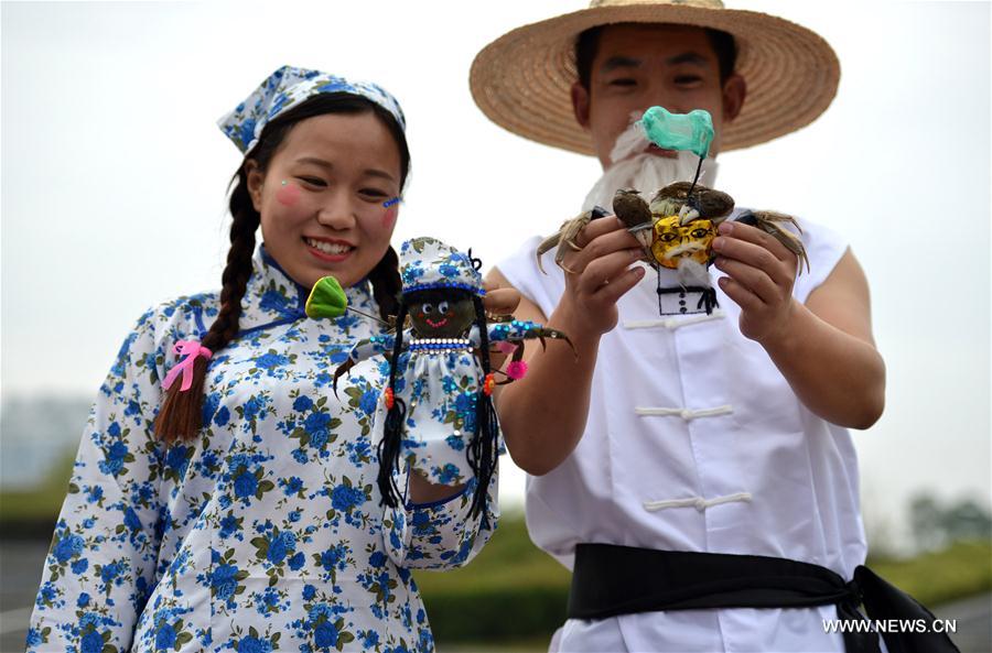 A mitten crab of Hongze Lake harvest festival was held here on Tuesday. 