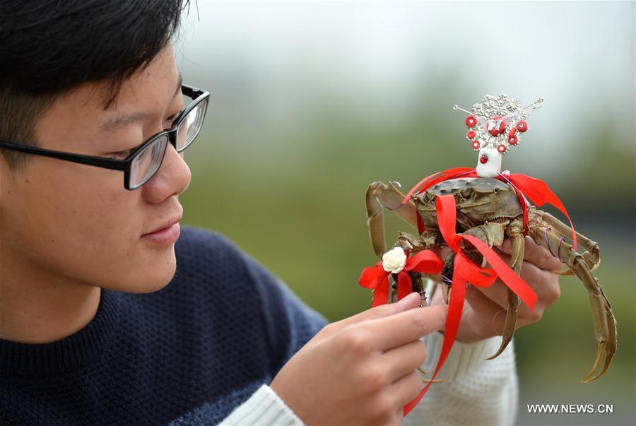 A mitten crab of Hongze Lake harvest festival was held here on Tuesday. 