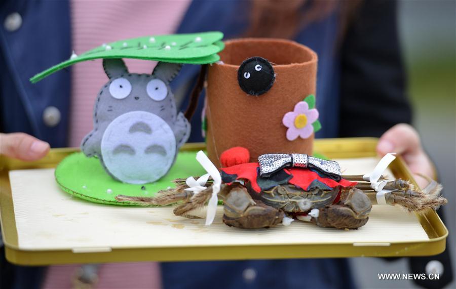 A mitten crab of Hongze Lake harvest festival was held here on Tuesday. 