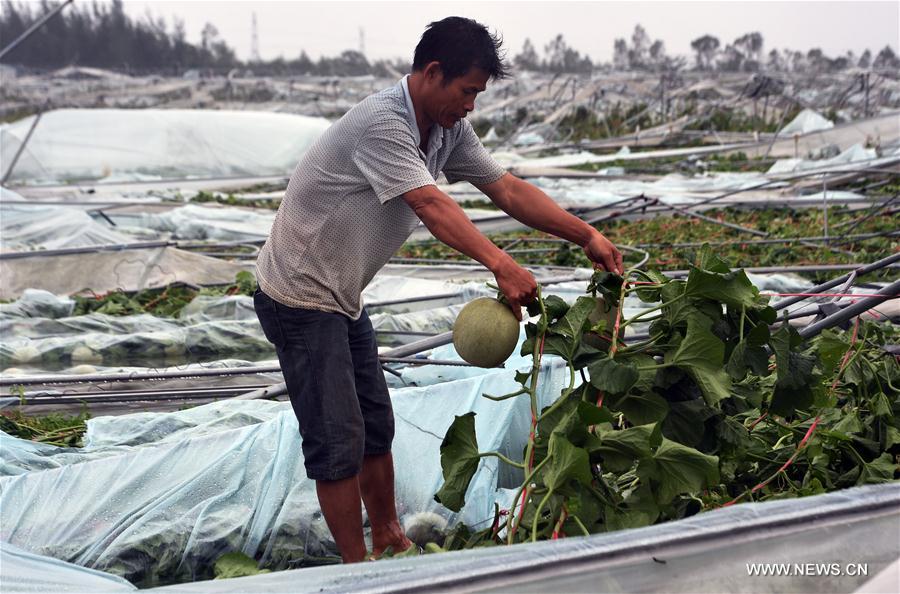 CHINA-HAINAN-TYPHOON(CN)