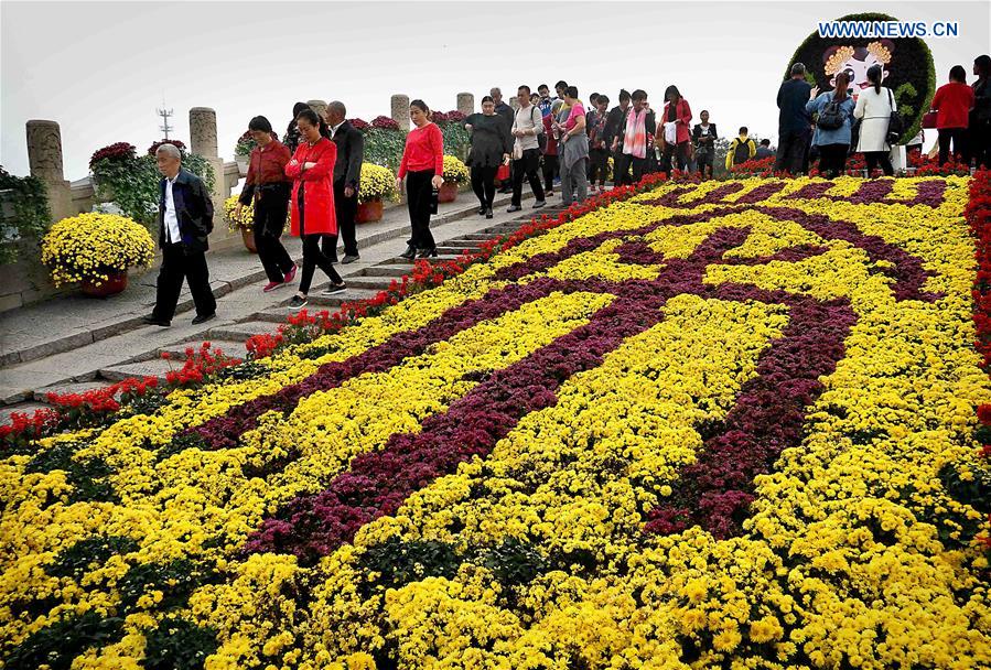 CHINA-HENAN-KAIFENG-CHRYSANTHEMUM (CN)