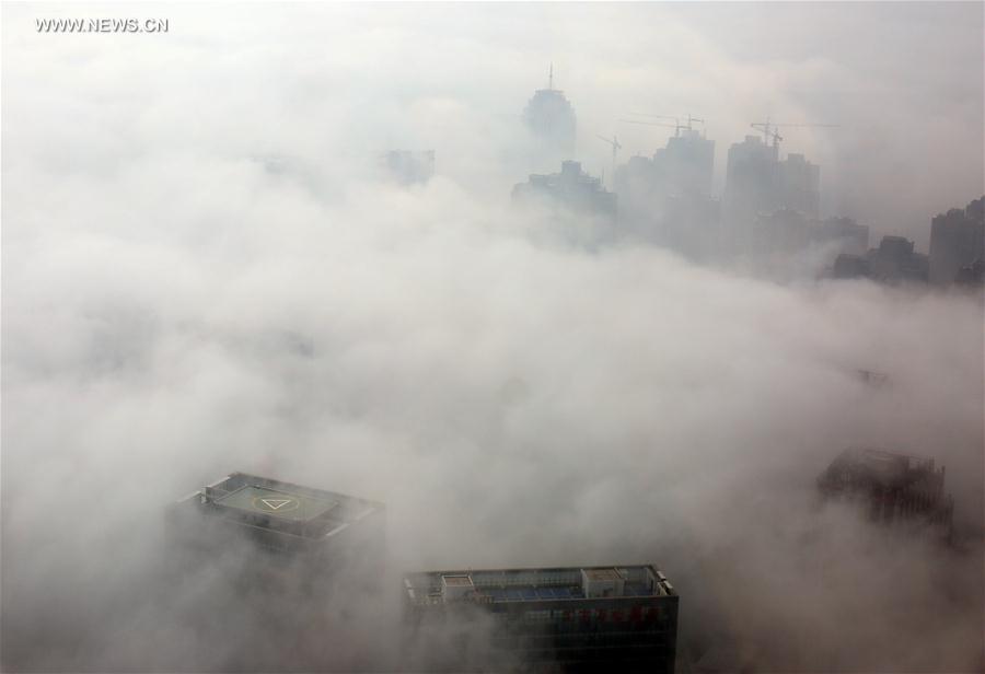 #CHINA-ZHENGZHOU-FOG (CN)