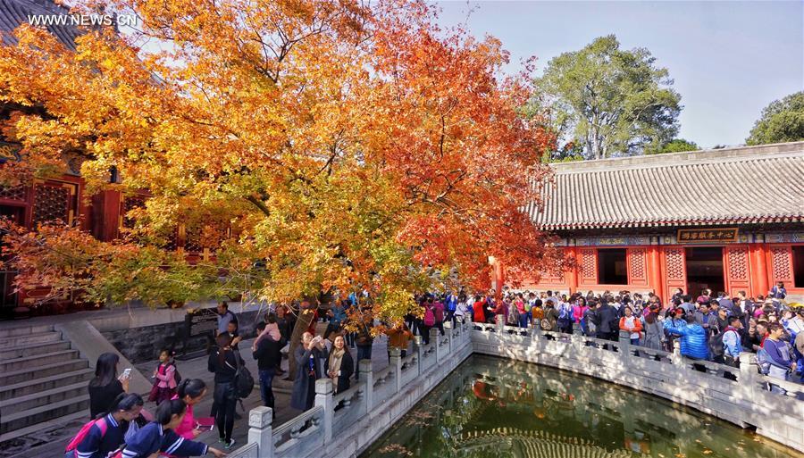 CHINA-BEIJING-AUTUMN-RED LEAVES (CN)