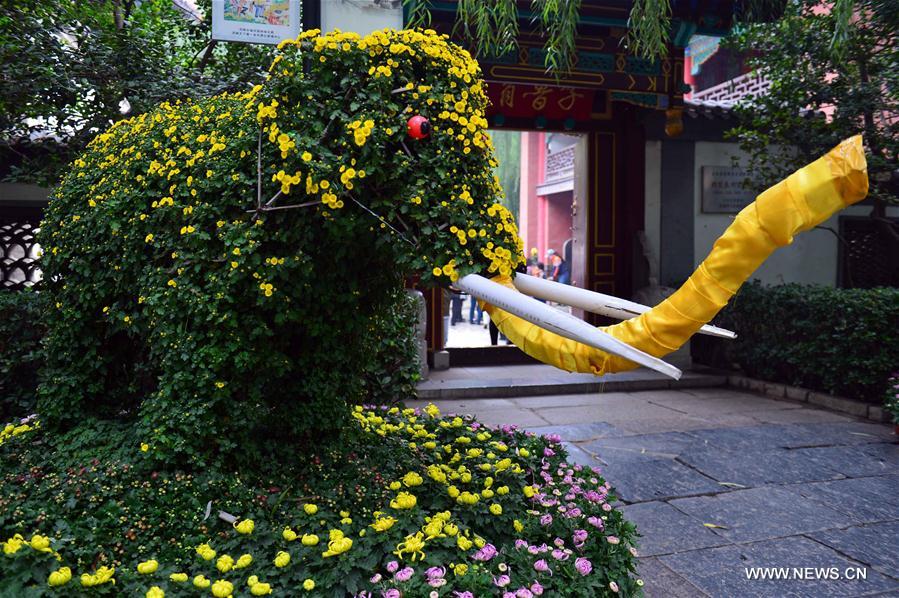 CHINA-JINAN-CHRYSANTHEMUM (CN) 