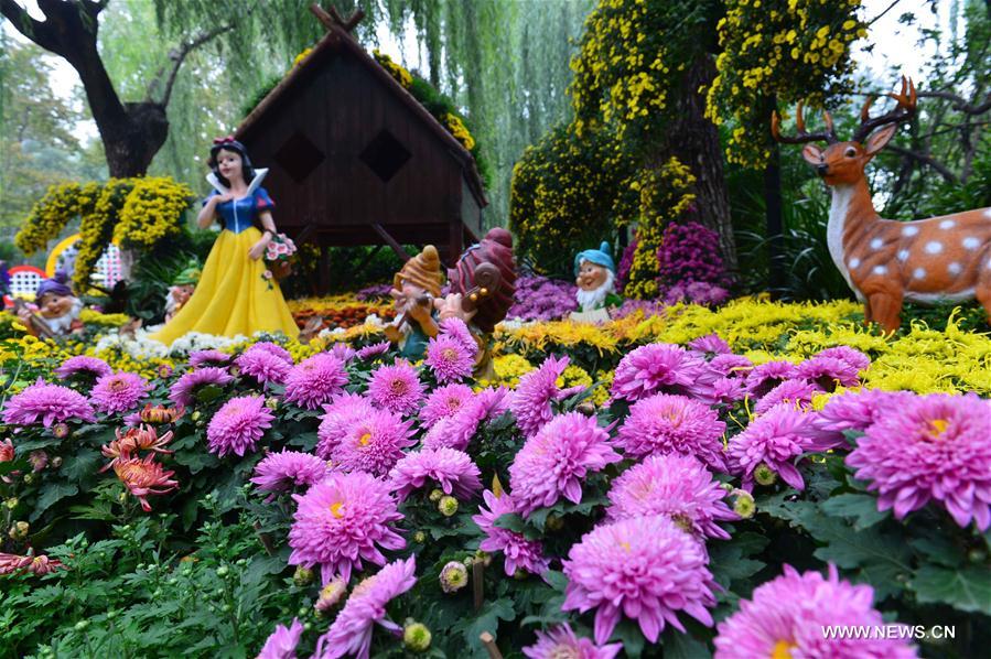 CHINA-JINAN-CHRYSANTHEMUM (CN) 