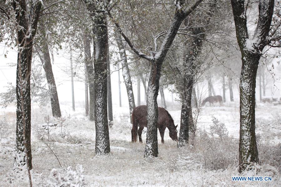 #CHINA-HEBEI-SNOWFALL (CN)