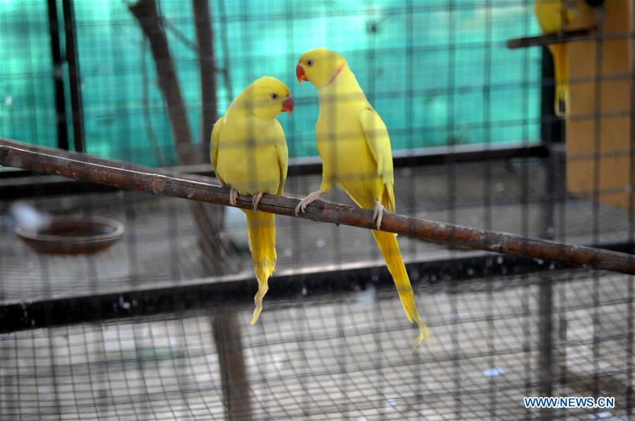 PAKISTAN-ISLAMABAD-BIRD AVIARY