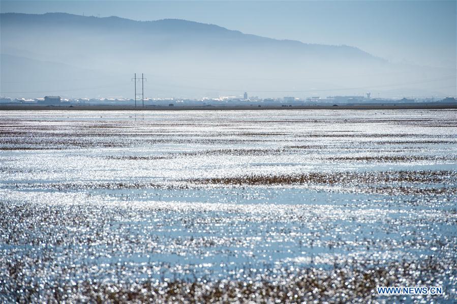 CHINA-SHANGRI-LA-NAPA LAKE-SCENERY (CN)