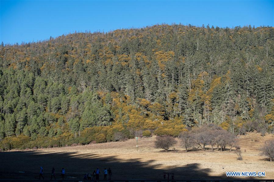 CHINA-SHANGRI-LA-POTATSO NATIONAL PARK-SCENERY (CN)