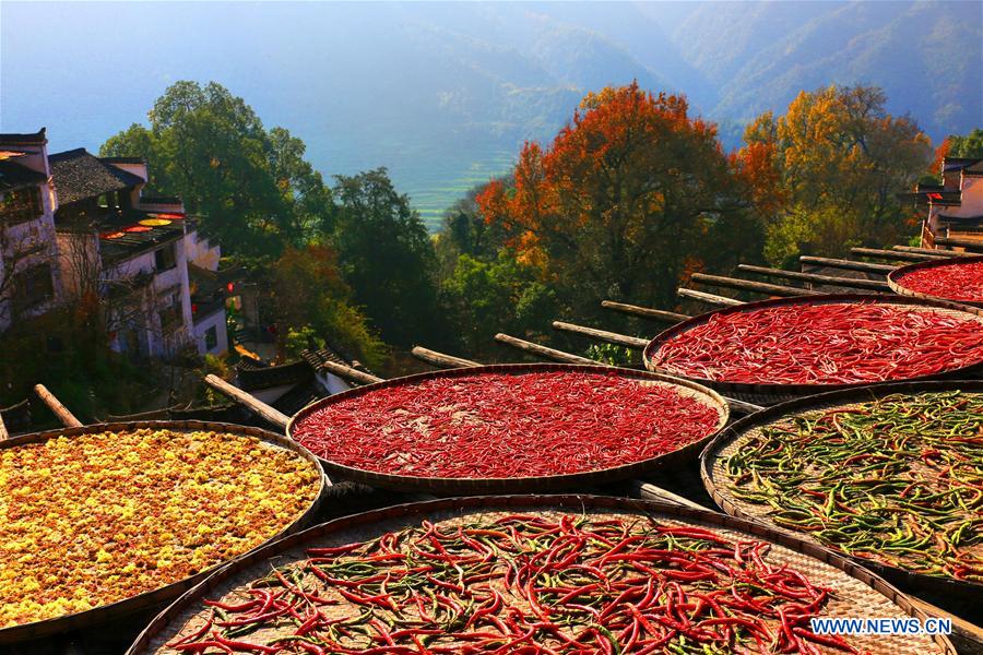 #CHINA-JIANGXI-WUYUAN COUNTY-SCENERY (CN)