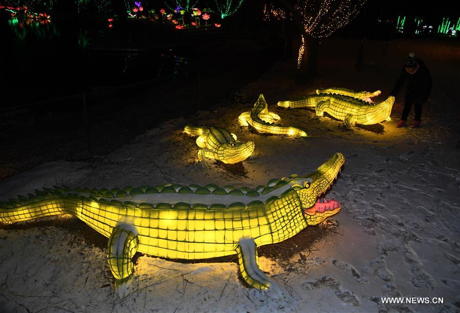 chinese lantern festival dc