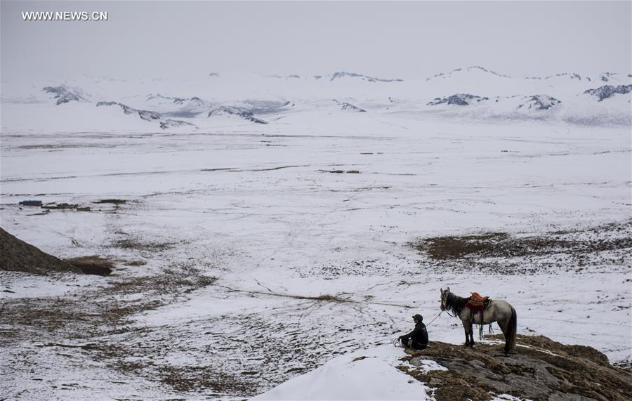 CHINA-XINJIANG-HEJING-BAYAN BULAG GRASSLAND-BREEDING SEASON (CN)