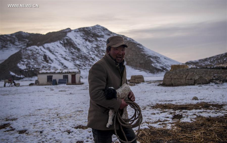 CHINA-XINJIANG-HEJING-BAYAN BULAG GRASSLAND-BREEDING SEASON (CN)