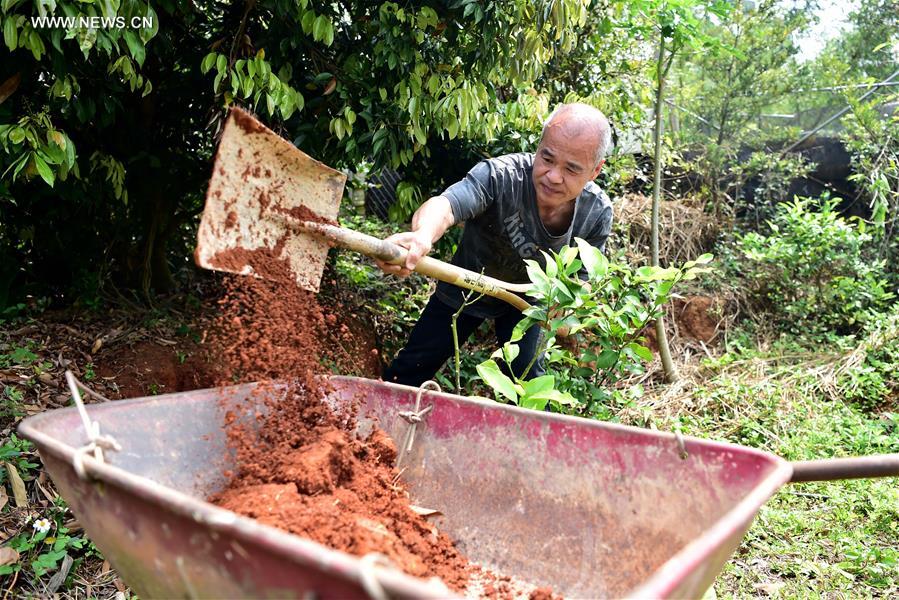 CHINA-TAIWAN-TAICHUNG-RED CLAY POTTERIES (CN)