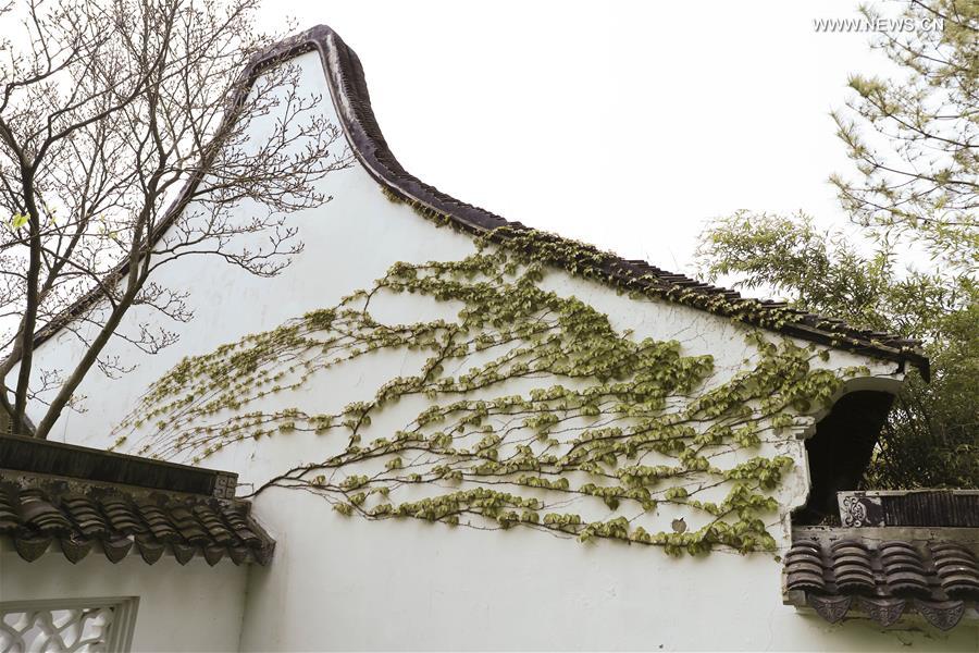 U.S.-NEW YORK-CHINESE SCHOLAR'S GARDEN