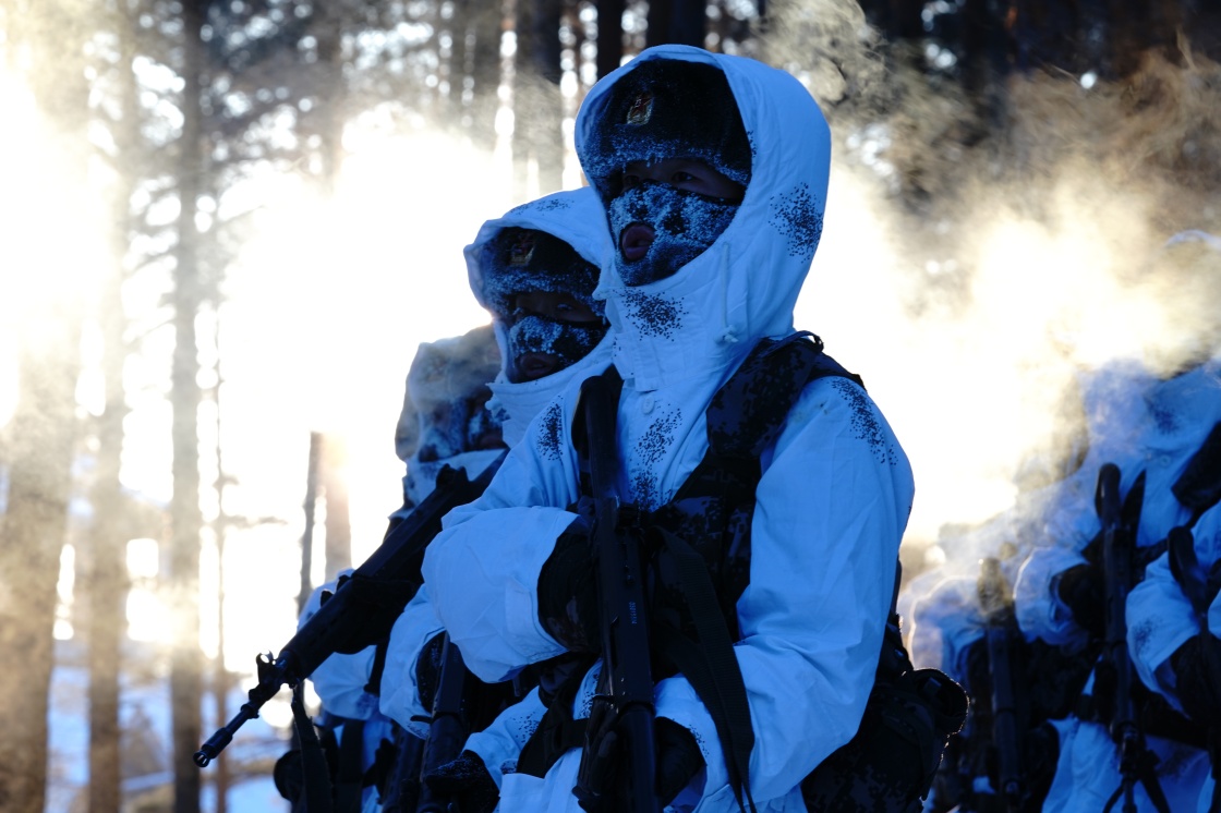 北极村哨兵挺立在风雪中的极地白杨5