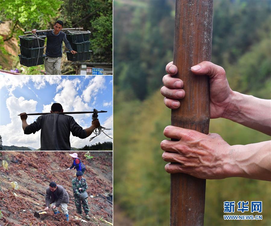 苗山脱贫影像志——勤劳脱贫的双手