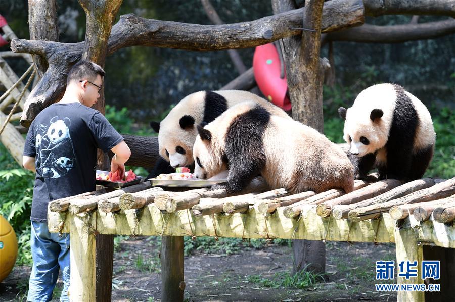 為動物防暑降溫