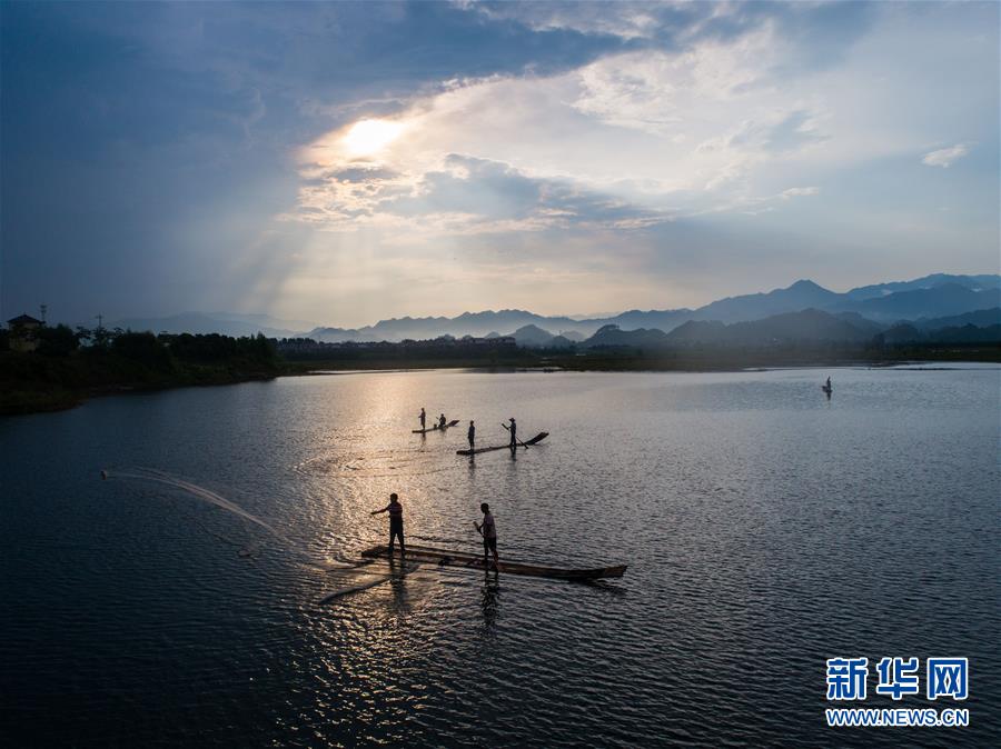 千岛湖开渔展现“水清鱼欢”美丽生态 第1页