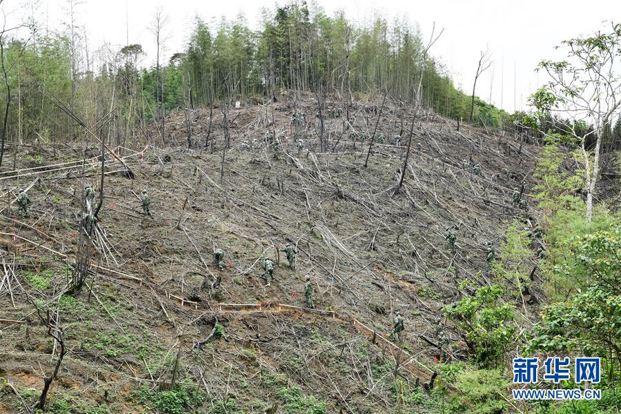 陆军组织部队扫雷骨干在边境雷场实操实练提升扫雷排爆能力(6) 第6页