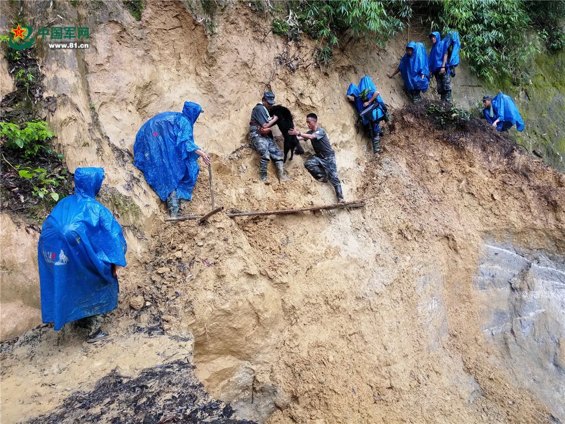 钻密林,攀绝壁,淌激流,爬雪山……官兵不仅要遭受蚂蟥,毒蛇,毒蜂的