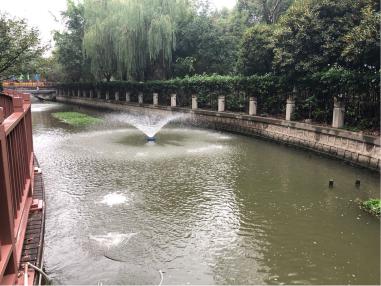 黑臭水体“回头看”：治理雨污混接是关键