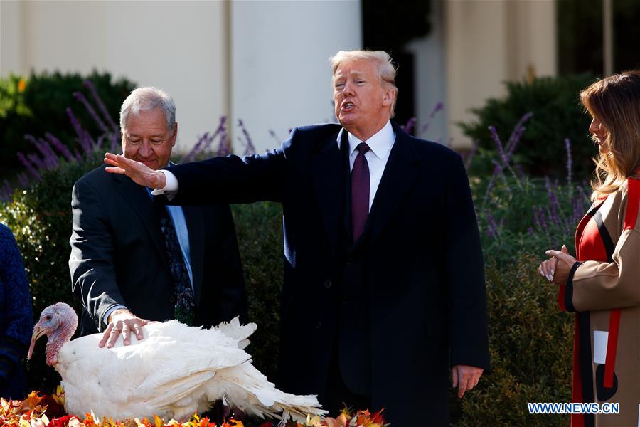 Football landing on thanksgiving table