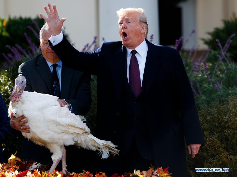 U.S.-WASHINGTON D.C.-TRUMP-THANKSGIVING TURKEY PARDONING CEREMONY