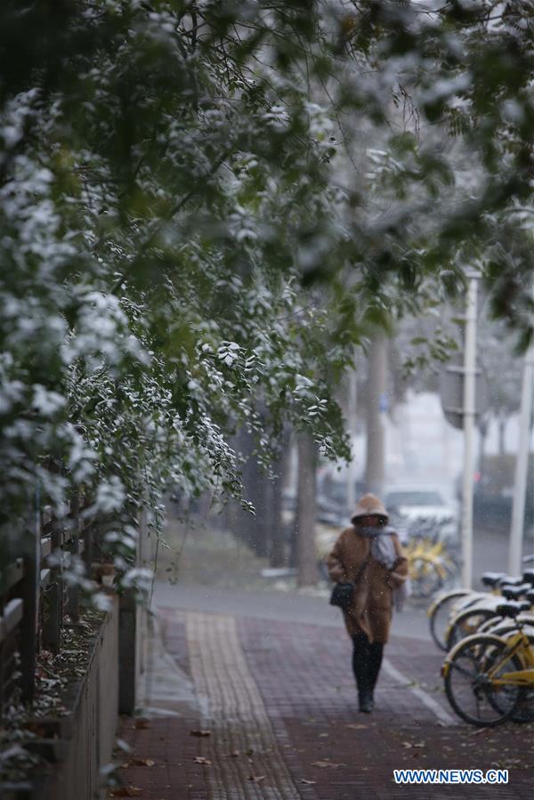 CHINA-HEBEI-SHIJIAZHUANG-SNOW (CN)