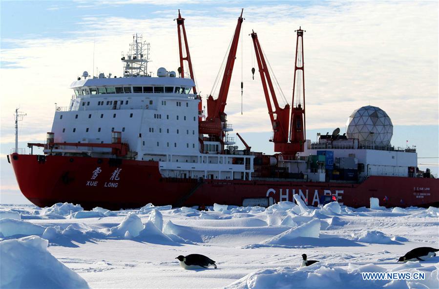 Penguins seen near China's research icebreaker Xuelong in Antarctica (6) -  People's Daily Online