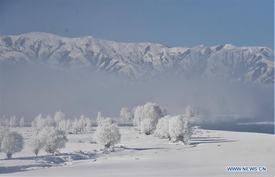 CHINA-TIBET-WINTER-RIME (CN)