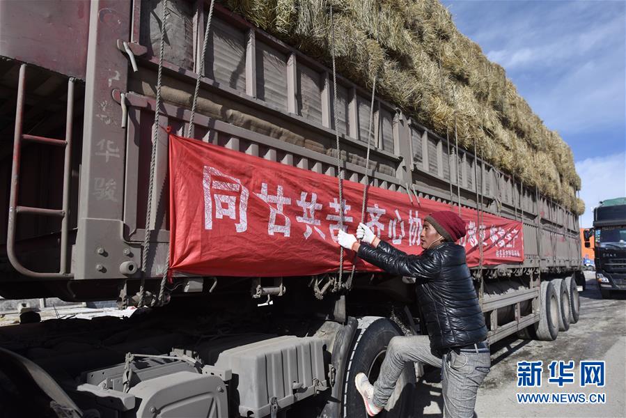 情聚江源 千里驰援――京豫川等地援助青海玉树雪灾区 第1页