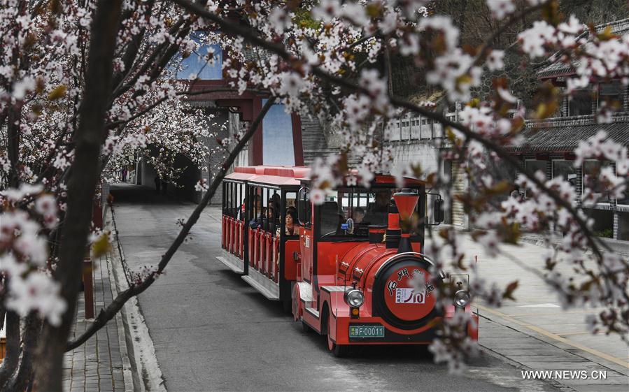 CHINA-HANZHONG-SPRING (CN)