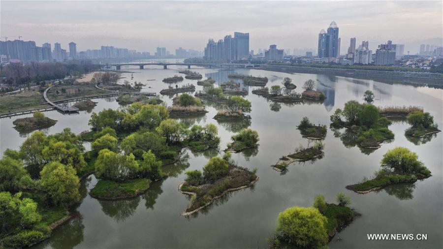 CHINA-HANZHONG-SPRING (CN)