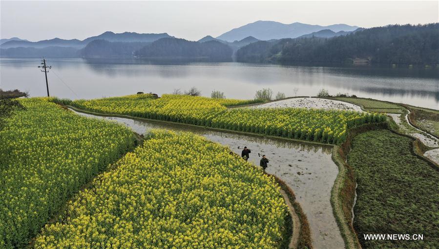 CHINA-HANZHONG-SPRING (CN)