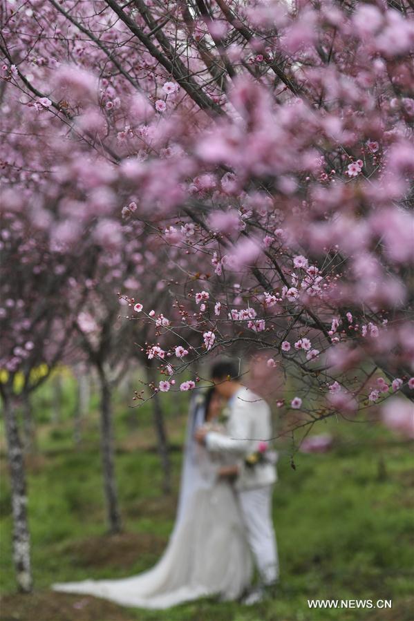 CHINA-HANZHONG-SPRING (CN)