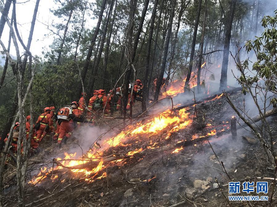 四川冕宁发生森林火灾 255名消防指战员前往扑救 第1页