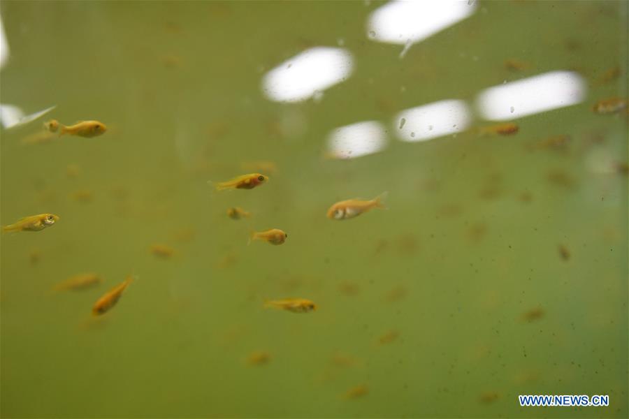 CHINA-ZHEJIANG-HUZHOU-INTELLIGENT AQUACULTURE (CN)