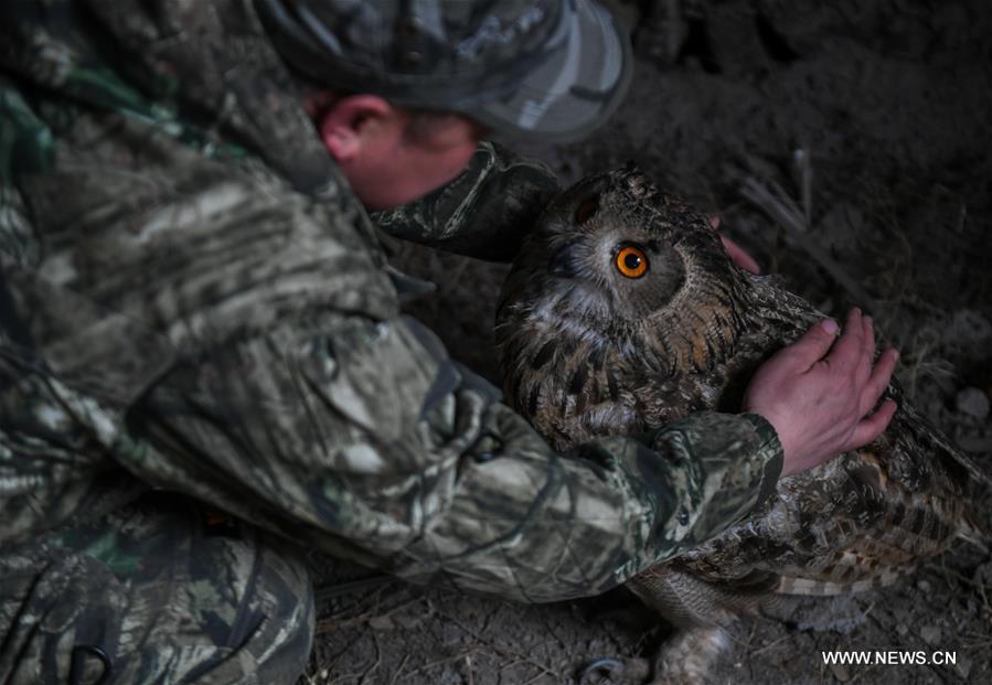 CHINA-INNER MONGOLIA-HULUN BUIR-WILDLIFE PROTECTOR (CN)