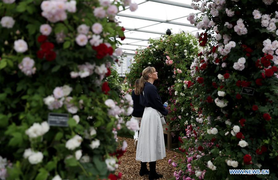 BRITAIN-LONDON-RHS CHELSEA FLOWER SHOW