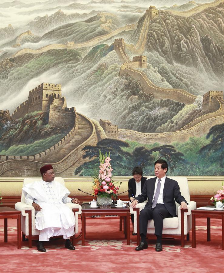 CHINA-BEIJING-LI ZHANSHU-NIGER'S PRESIDENT-MEETING (CN)