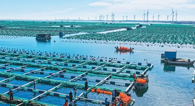 科技兴海,以养兴渔