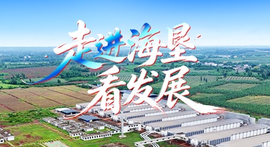 走进海垦看发展