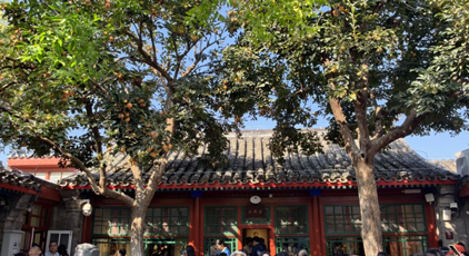 北京“丹柿小院”秋色引游人